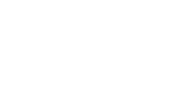DNA Consulting